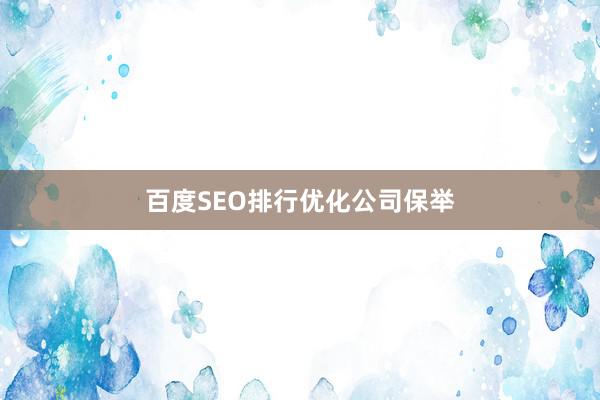 百度SEO排行优化公司保举