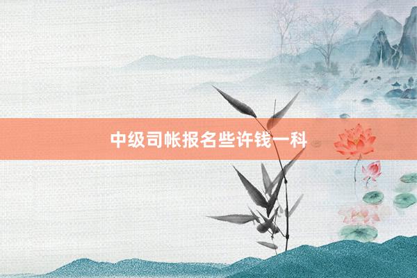 中级司帐报名些许钱一科